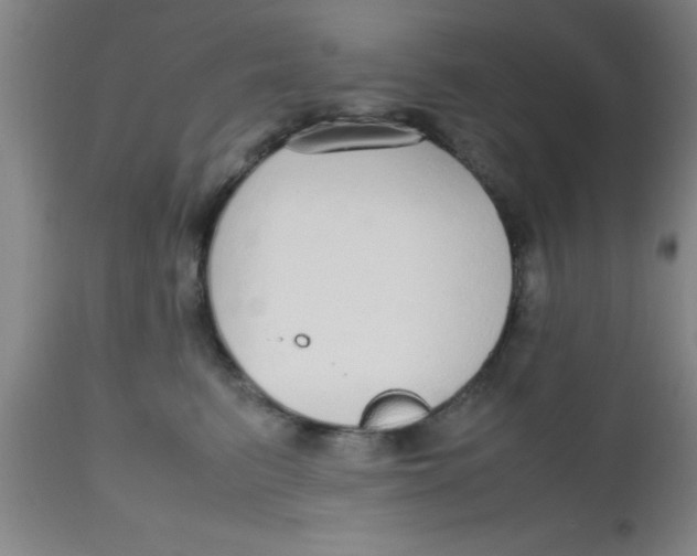 X0000112530615200909071359