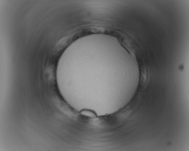 X0000112530616200909071359