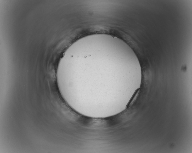 X0000112530617200909071359