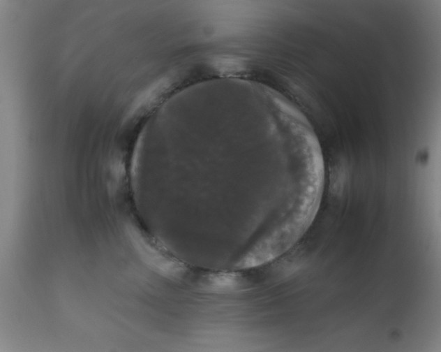 X0000112530618200909071359