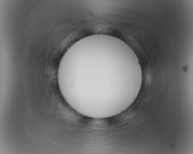 X0000112530619200909071359