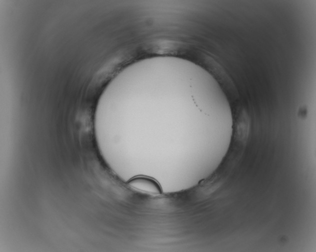 X0000112530620200909071359