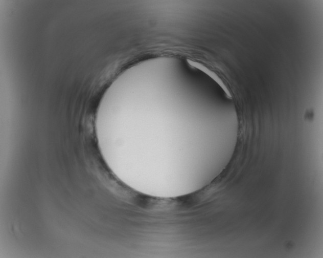 X0000112530621200909071359