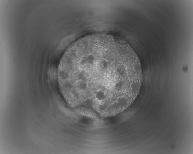 X0000112530623200909071359