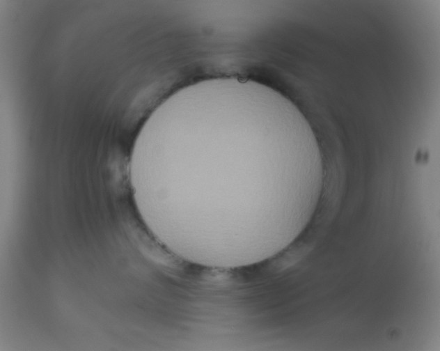 X0000112530624200909071359