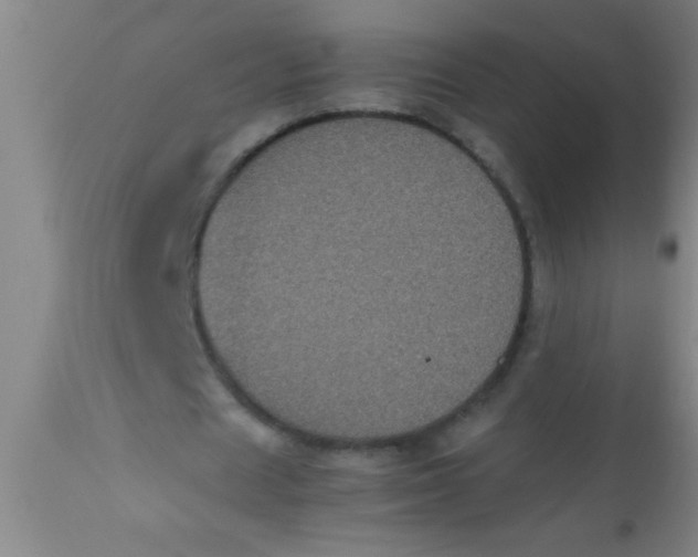 X0000112530625200909071358