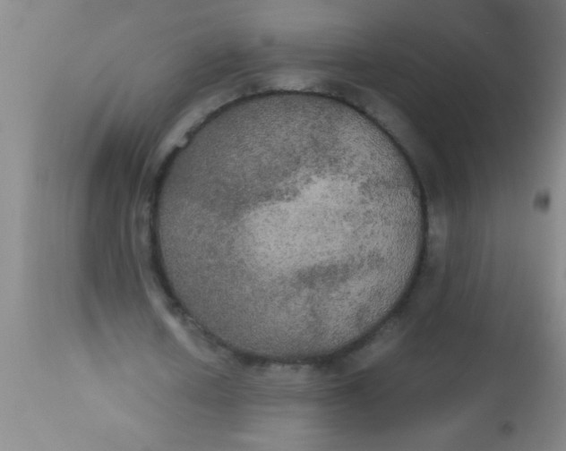 X0000112530626200909071358