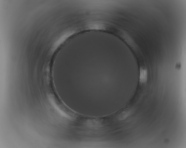 X0000112530627200909071358