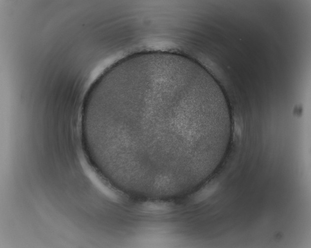 X0000112530630200909071358