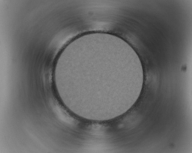 X0000112530632200909071358