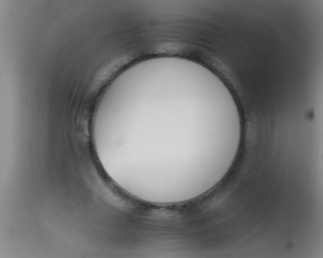 X0000112530633200909071358