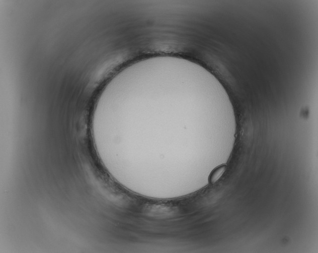 X0000112530635200909071358