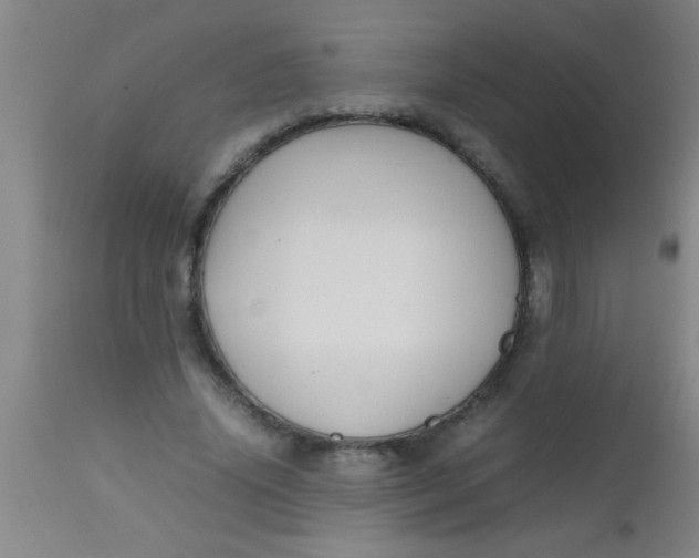 X0000112530636200909071358