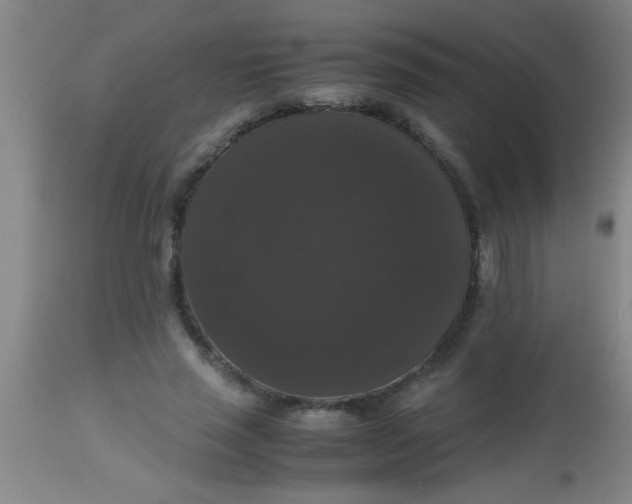 X0000112530637200909071358