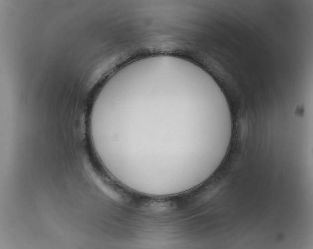 X0000112530638200909071358