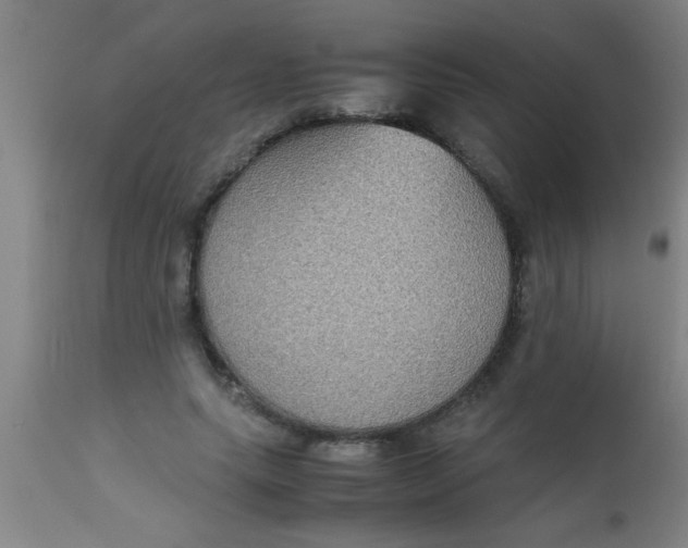 X0000112530639200909071358