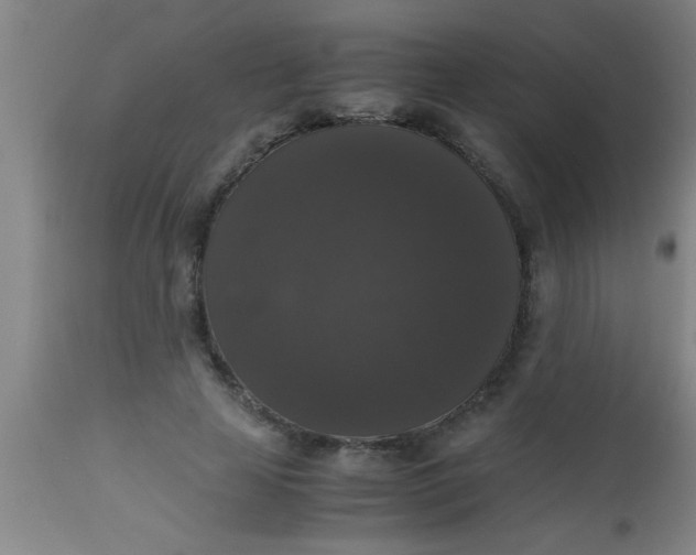 X0000112530641200909071358