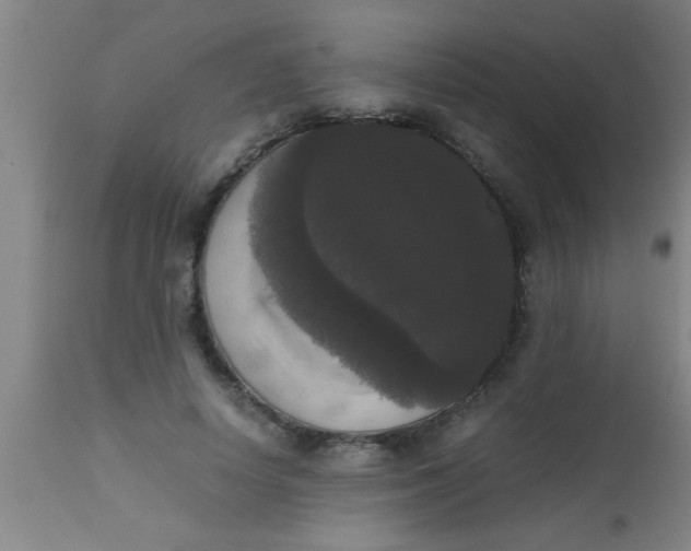 X0000112530642200909071358