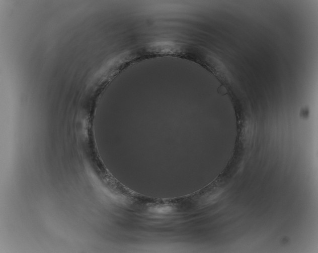 X0000112530643200909071358