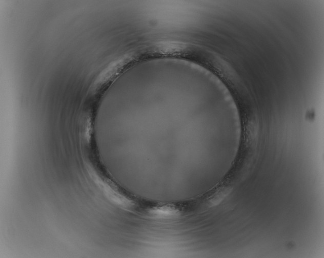 X0000112530644200909071359