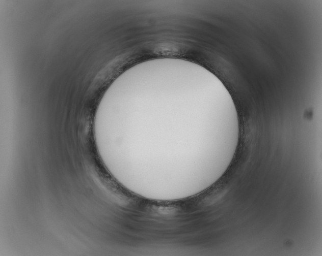 X0000112530645200909071359