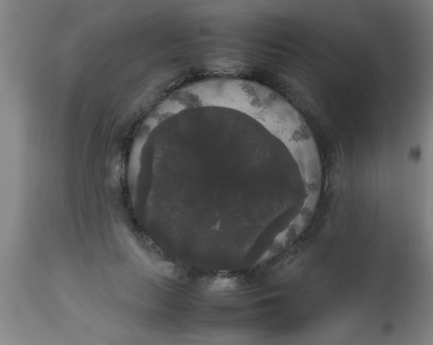 X0000112530647200909071359