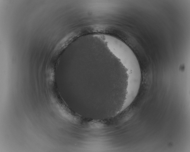 X0000112530648200909071359