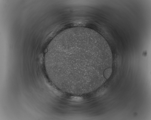 X0000112530649200909071359