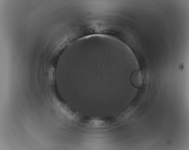 X0000112530650200909071359