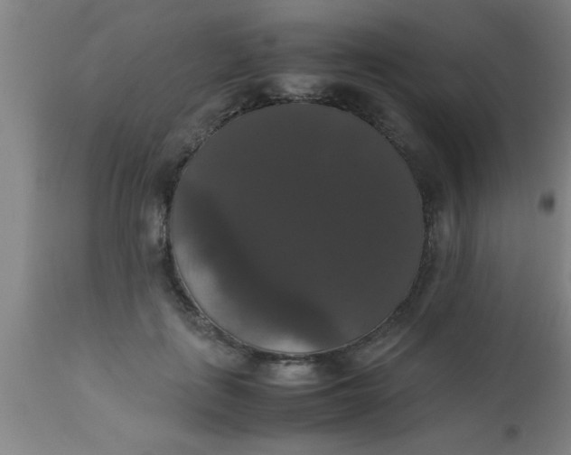 X0000112530651200909071359