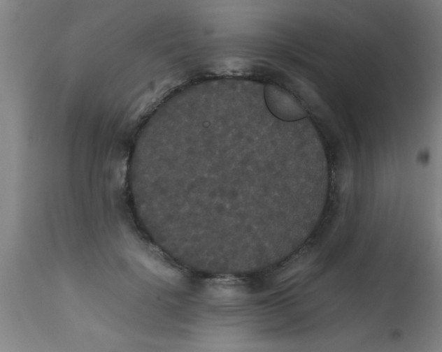 X0000112530652200909071359