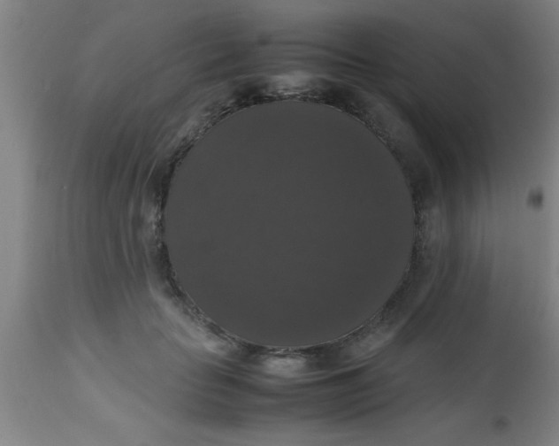 X0000112530653200909071359