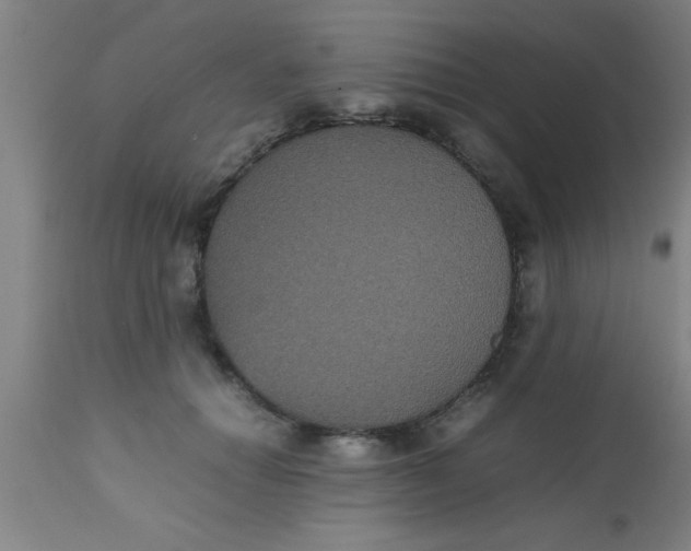 X0000112530654200909071359