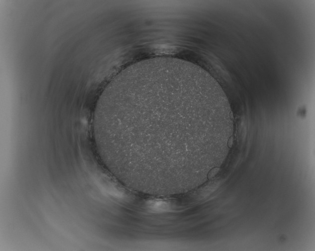 X0000112530655200909071359