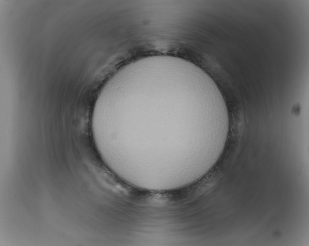 X0000112530656200909071359