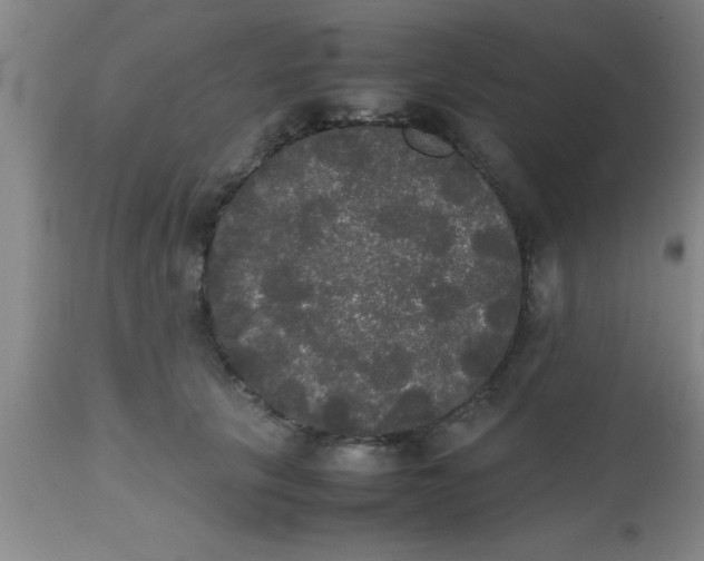 X0000112530657200909071359