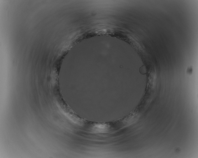 X0000112530659200909071359