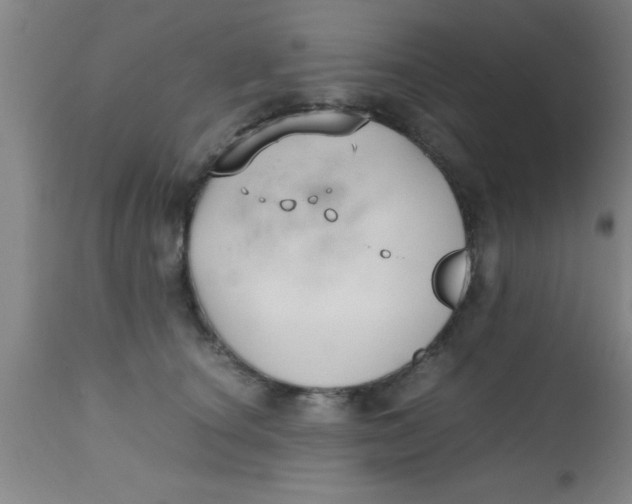 X0000112530660200909071359