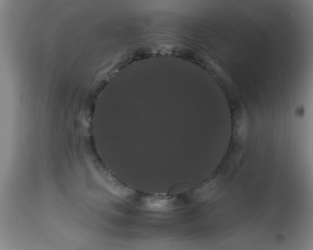 X0000112530661200909071359