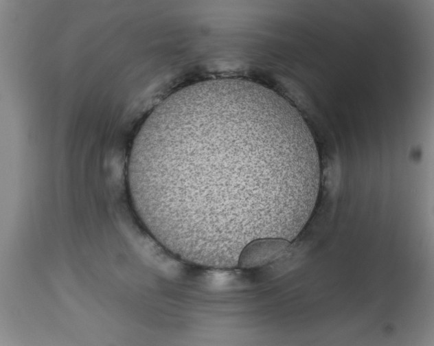 X0000112530662200909071359