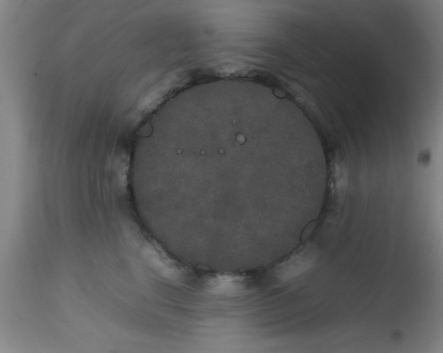 X0000112530664200909071359