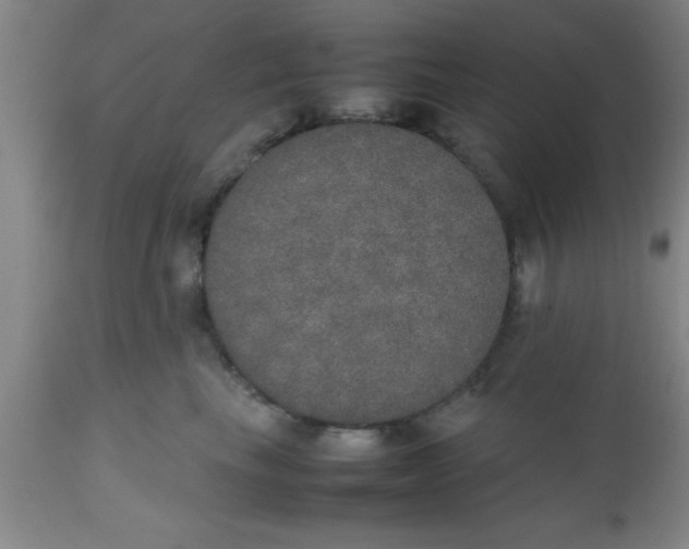 X0000112530665200909071359