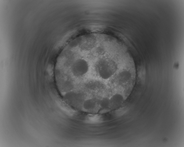 X0000112530667200909071359