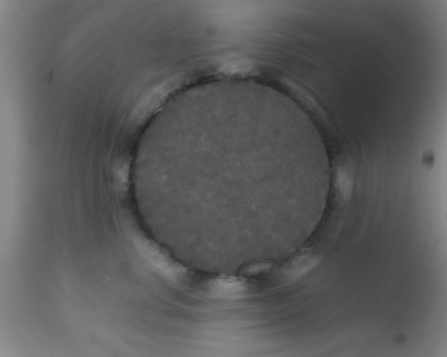 X0000112530668200909071359