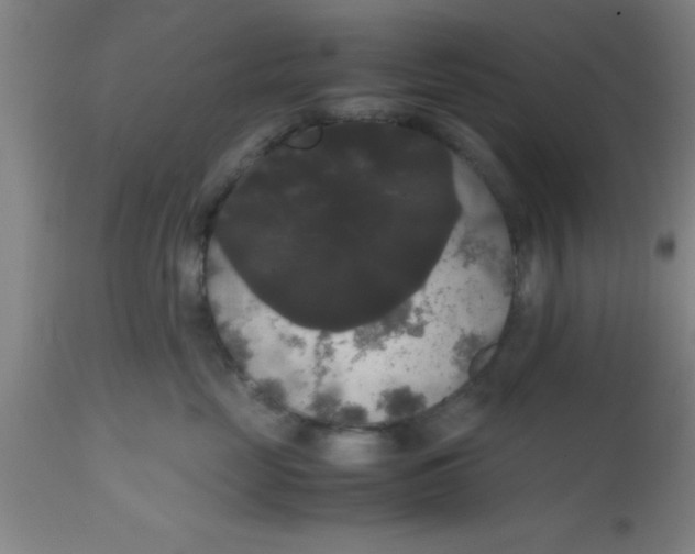 X0000112530669200909071359