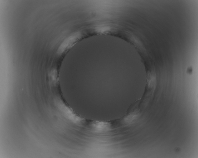 X0000112530670200909071359