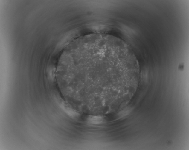 X0000112530671200909071359