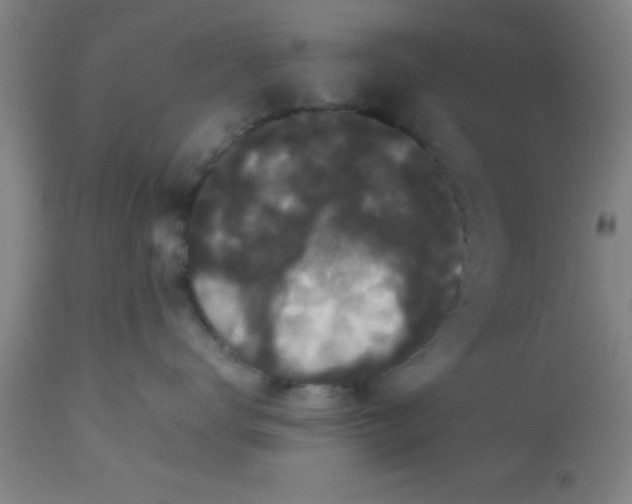 X0000112530672200909071359