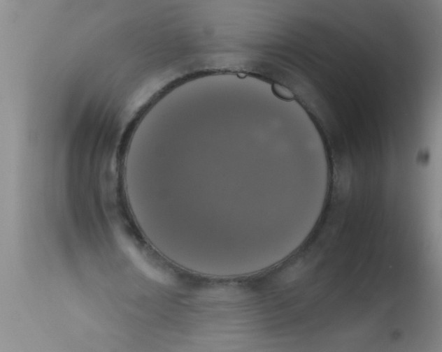 X0000112530674200909071358