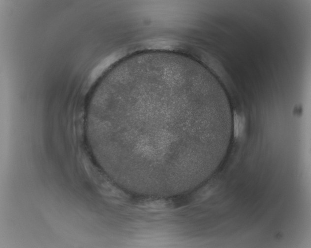 X0000112530675200909071358